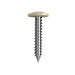 Screw Button Head Needle Point White 8gx20 100pk Bremick